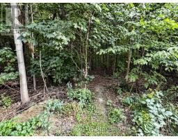 247 Summeridge Drive, Vaughan, ON L4J8R7 Photo 44