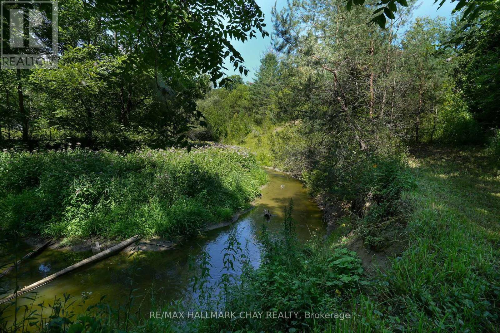 5247 COUNTY ROAD 9 ROAD - Image 41