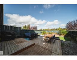 12218 16 Av Sw, Edmonton, AB T6W1L7 Photo 39