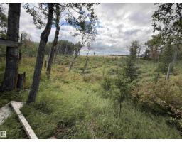 50279 Rge Rd 274, Rural Leduc County, AB T0C0V0 Photo 42