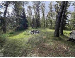 50279 Rge Rd 274, Rural Leduc County, AB T0C0V0 Photo 48