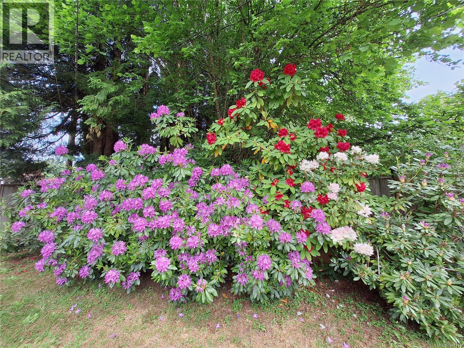 4244 Johnston Rd - 85