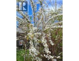 4244 Johnston Rd, Port Alberni, BC V9Y5M9 Photo 84
