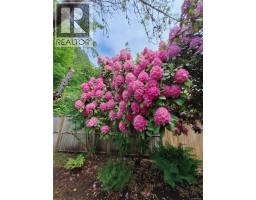 4244 Johnston Rd, Port Alberni, BC V9Y5M9 Photo 86