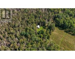 880 Memorial Park Drive E, Powassan, ON P0H1Z0 Photo 36