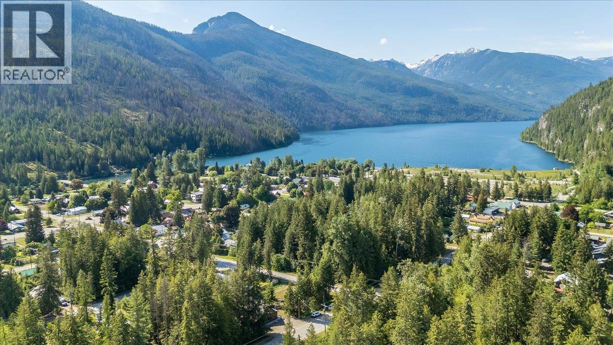 809 Slocan Street - 11