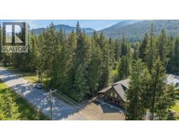 809 Slocan Street, Slocan, BC V0G2C0 Photo 9