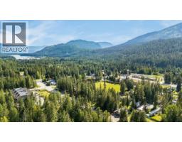 809 Slocan Street, Slocan, BC V0G2C0 Photo 12