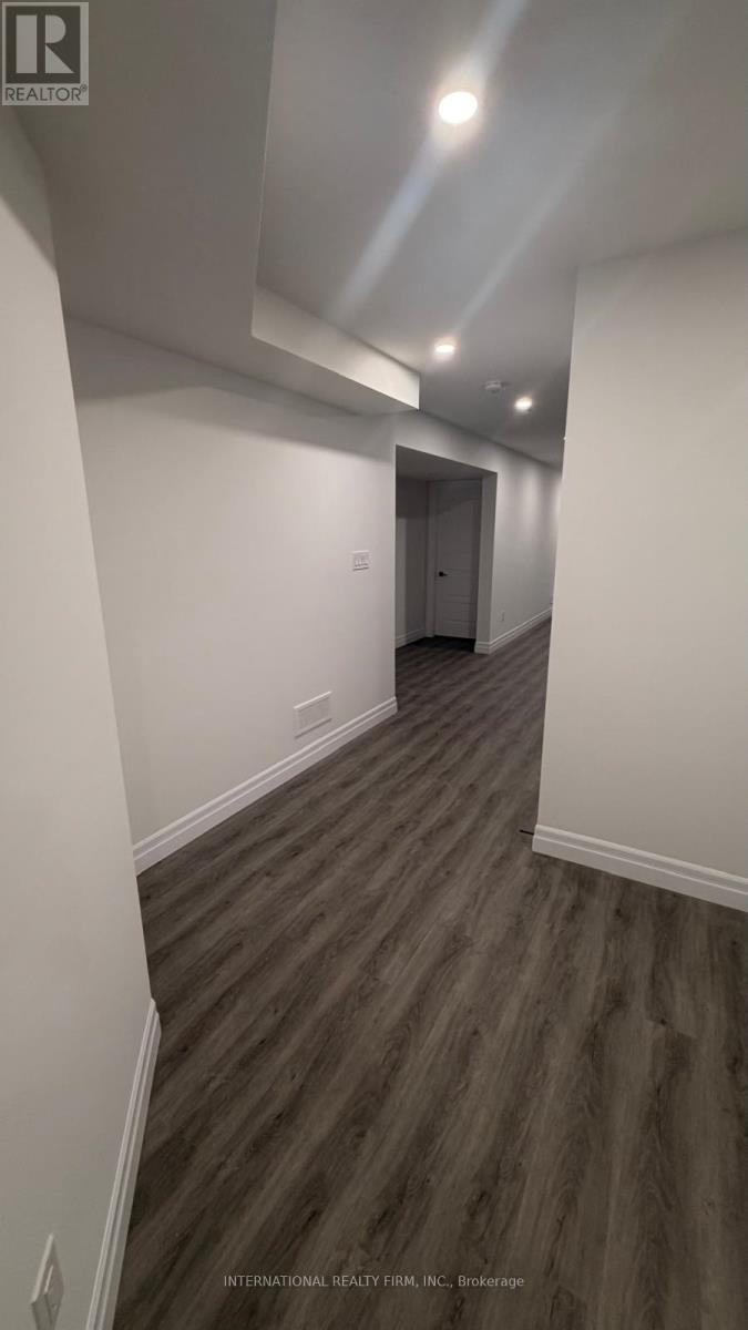 BASEMENT - 891 DARNLEY BOULEVARD, London South (South U) — photo 2