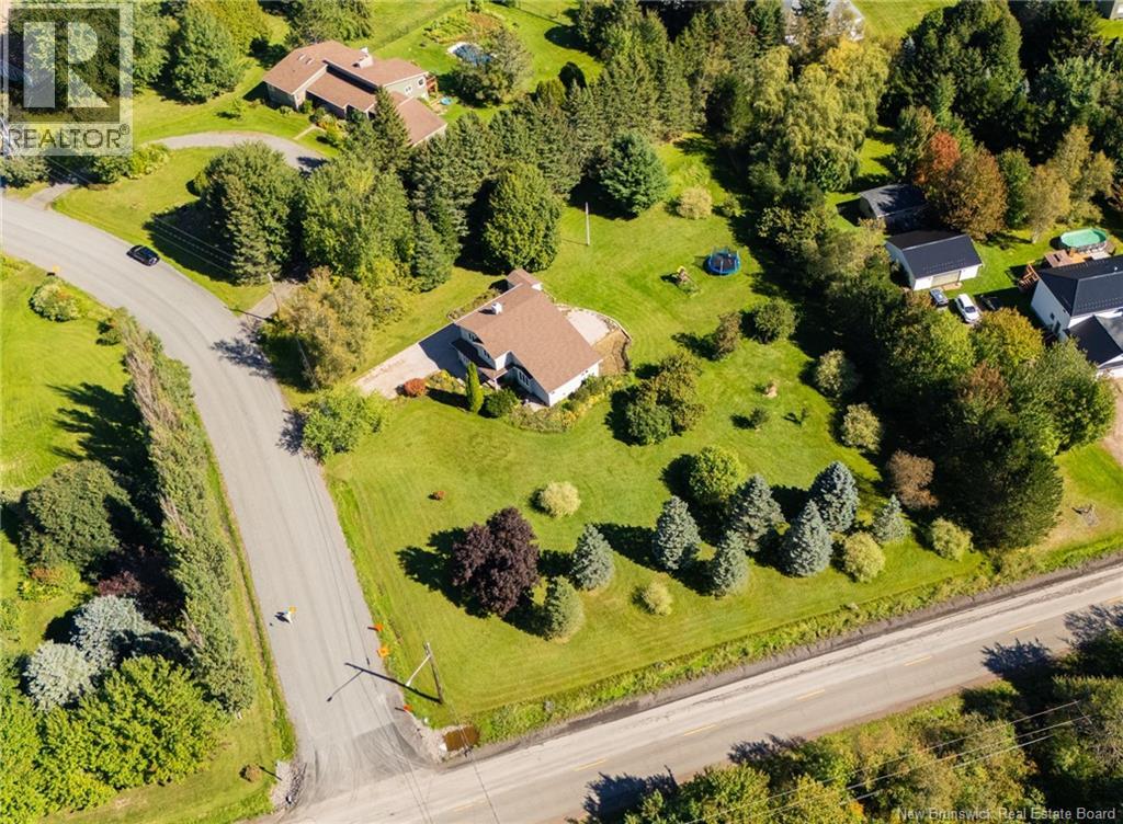 5 Seneca - Image 42