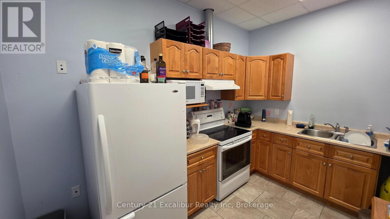 B - 645 ST DAVID STREET N, Centre Wellington (Fergus) — photo 4
