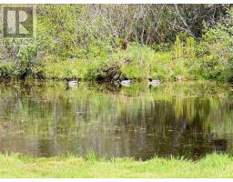 20 Jacquard Road, Lower Wedgeport, NS B0W2P0 Photo 26
