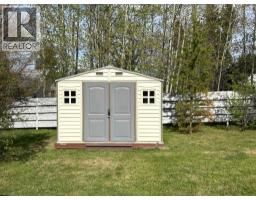 4915 50 Avenue E, Bluffton, AB T0C0M0 Photo 27