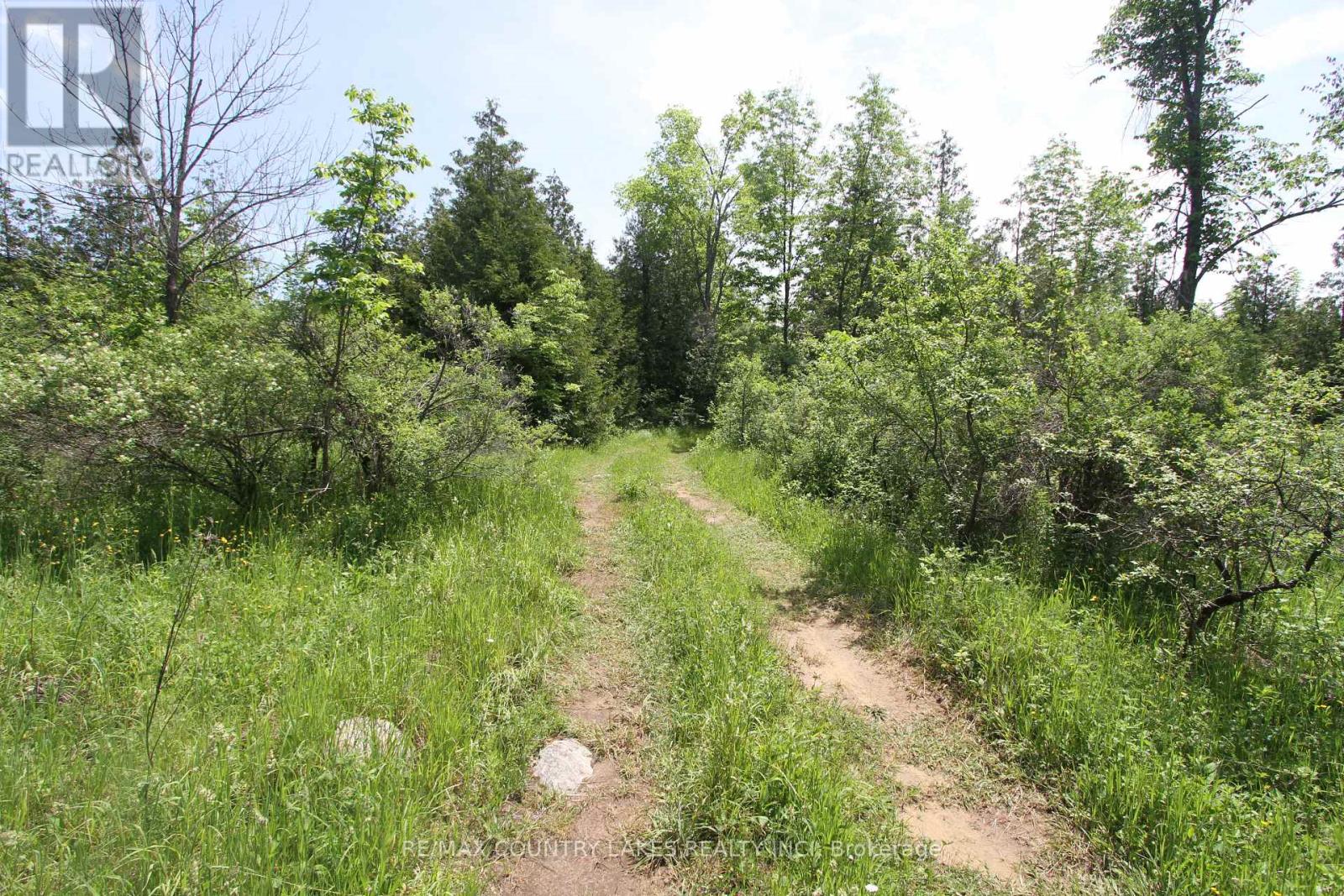 LT25 RAMBLEWOOD TRAIL, Kawartha Lakes (Bexley) — photo 10
