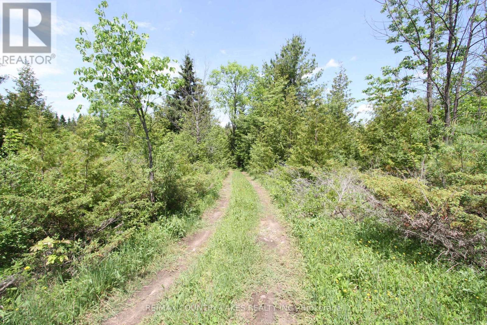 LT25 RAMBLEWOOD TRAIL, Kawartha Lakes (Bexley) — photo 12