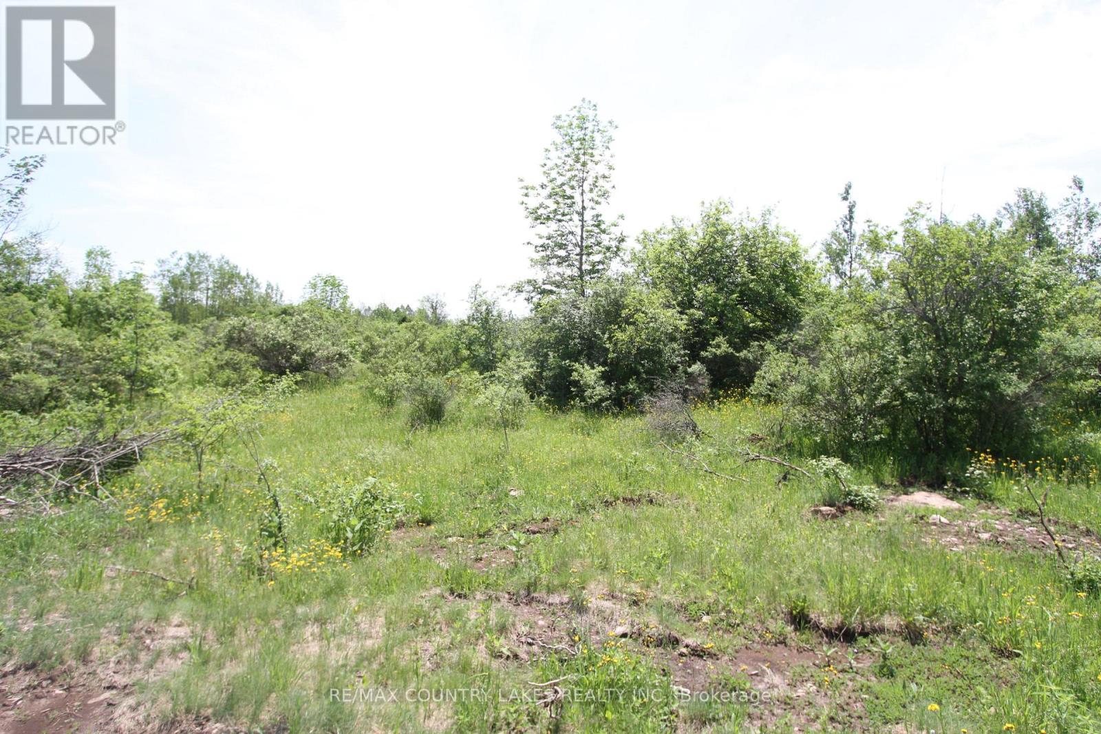 LT25 RAMBLEWOOD TRAIL, Kawartha Lakes (Bexley) — photo 8