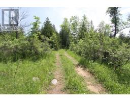 Lt25 Ramblewood Trail, Kawartha Lakes, ON K0M2B0 Photo 10