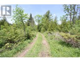 Lt25 Ramblewood Trail, Kawartha Lakes, ON K0M2B0 Photo 12
