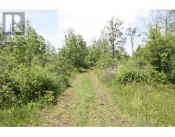 Lt25 Ramblewood Trail, Kawartha Lakes, ON K0M2B0 Photo 14