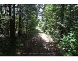 Lt25 Ramblewood Trail, Kawartha Lakes, ON K0M2B0 Photo 25