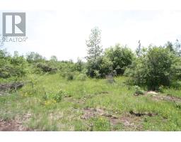 Lt25 Ramblewood Trail, Kawartha Lakes, ON K0M2B0 Photo 8