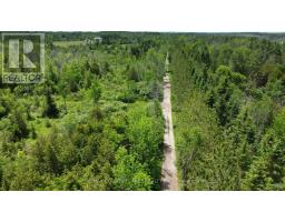 Lt25 Ramblewood Trail, Kawartha Lakes, ON K0M2B0 Photo 9