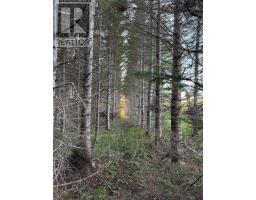 Block R1 Highway 3, Arcadia, NS B5A5J8 Photo 12