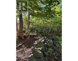 Block R1 Highway 3, Arcadia, NS B5A5J8 Photo 15