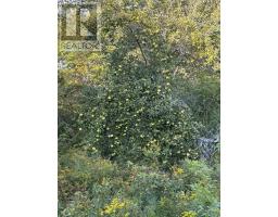 Block R1 Highway 3, Arcadia, NS B5A5J8 Photo 18