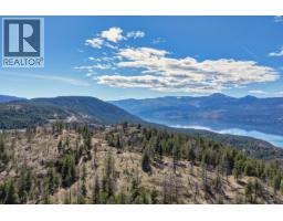 822 Predator Ridge Drive, Vernon, BC V1H1G4 Photo 44