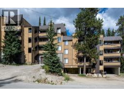 6375 Whiskey Jack Drive Unit# 309, Big White, BC V1P1P3 Photo 23