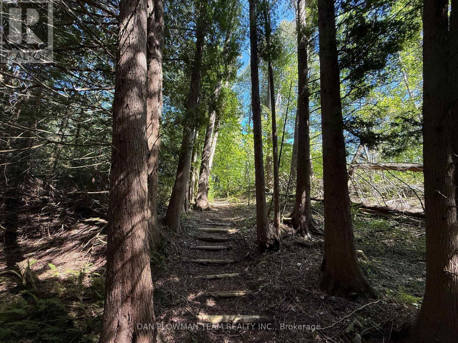 6458 Gibbs Road, Clarington, ON photo 32