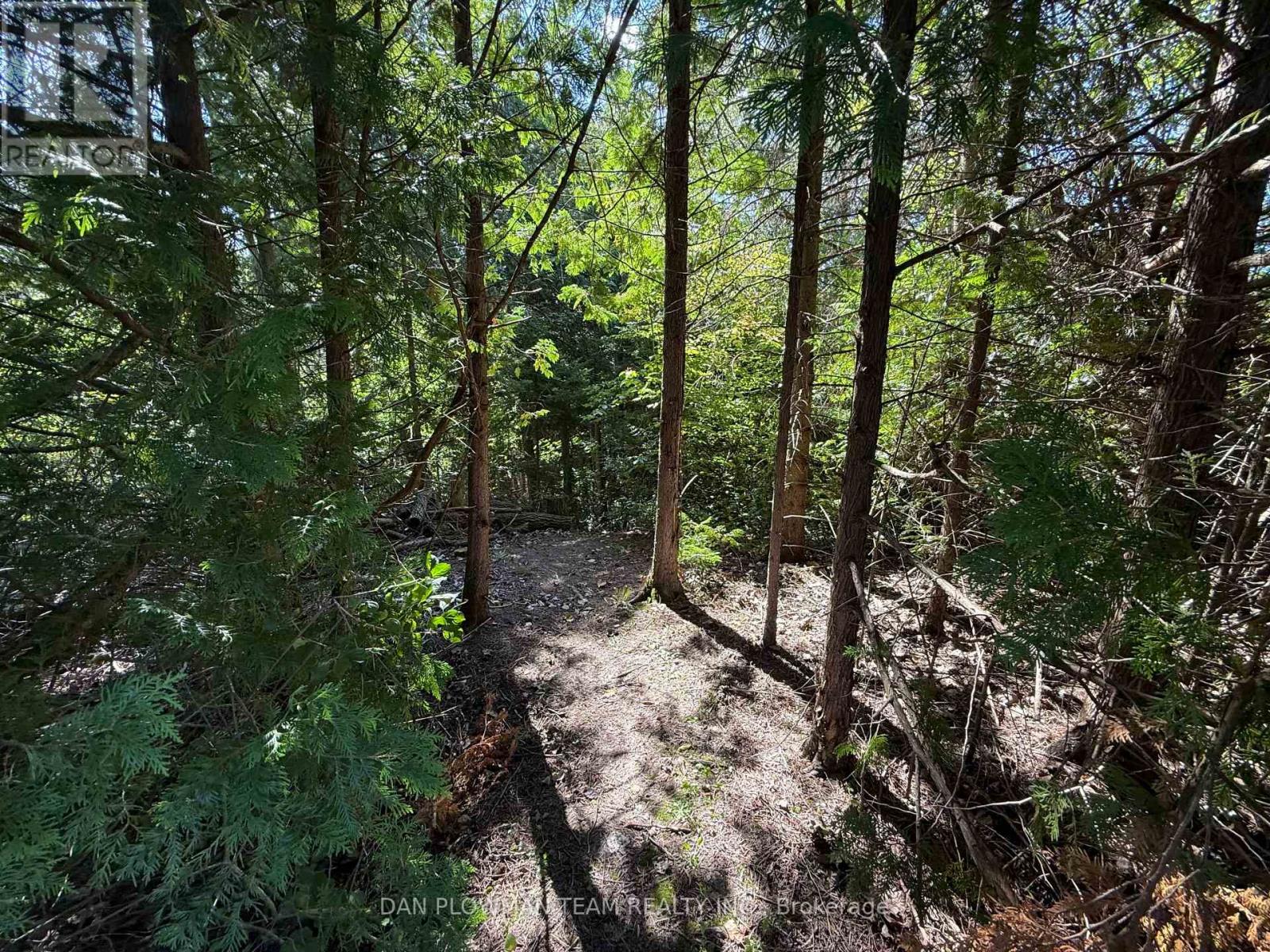 6458 Gibbs Road, Clarington, ON photo 34