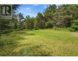 6458 Gibbs Road, Clarington, ON L1C3K6 Photo 26