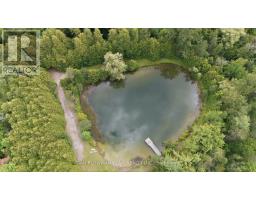 6458 Gibbs Road, Clarington, ON L1C3K6 Photo 31