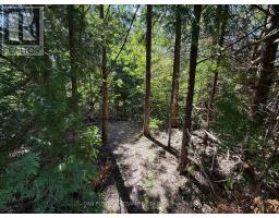 6458 Gibbs Road, Clarington, ON L1C3K6 Photo 34