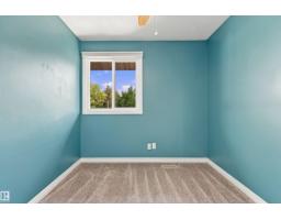 161 Woodstock Nw, Edmonton, AB T5T0H6 Photo 22