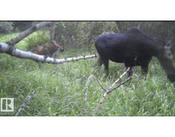 20440 Twp Rd 510, Rural Strathcona County, AB T8G1E5 Photo 16