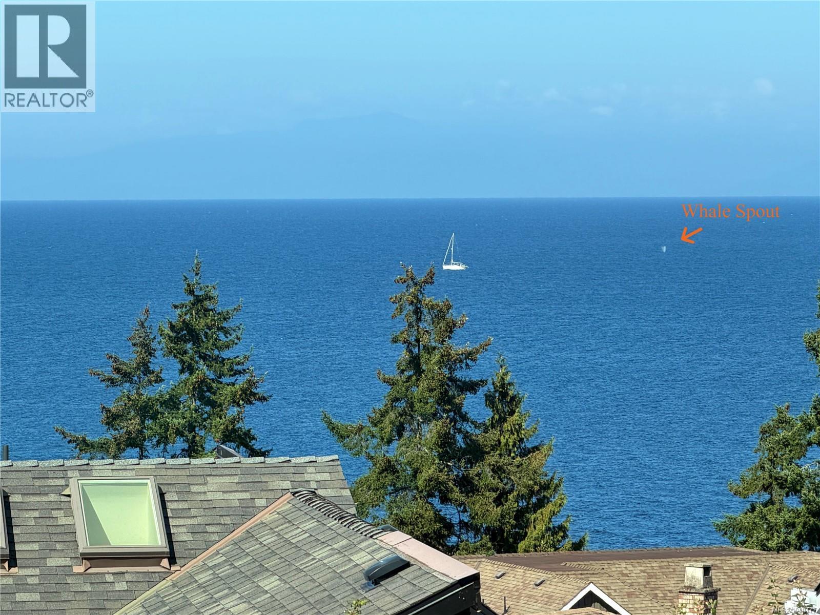 101 Sandpiper Pl - Image 22