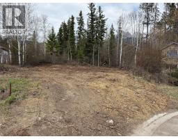 Lot 6 Aspen Grove Place, Fairmont Hot Springs, BC V0B1L1 Photo 15