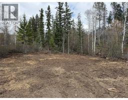 Lot 6 Aspen Grove Place, Fairmont Hot Springs, BC V0B1L1 Photo 13