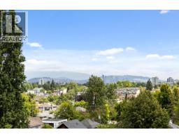 B 4260 Sophia Street, Vancouver, BC V5V3V7 Photo 39