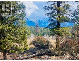 Lot 1 Kootenay Rd No 3 Road, Windermere, BC V0B1L1 Photo 8