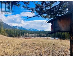 Lot 1 Kootenay Rd No 3 Road, Windermere, BC V0B1L1 Photo 12