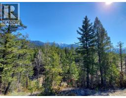 Lot 1 Kootenay Rd No 3 Road, Windermere, BC V0B1L1 Photo 17