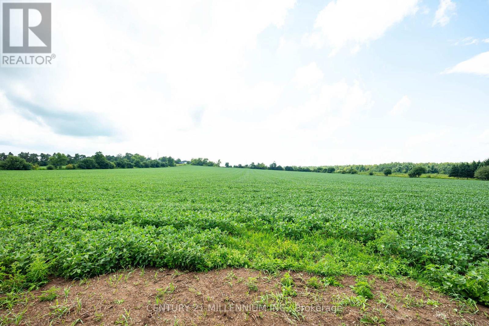 245097 5TH SIDE ROAD, Amaranth — photo 22