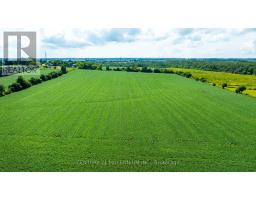 245097 5th Side Road, Amaranth, ON L9W2Z3 Photo 11