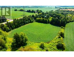 245097 5th Side Road, Amaranth, ON L9W2Z3 Photo 15