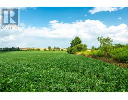 245097 5th Side Road, Amaranth, ON L9W2Z3 Photo 17