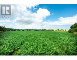 245097 5th Side Road, Amaranth, ON L9W2Z3 Photo 18